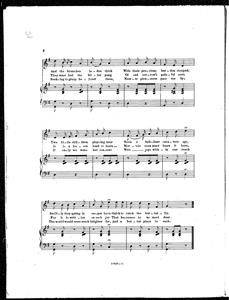 Anti Spy Screen Protector Iphone 7